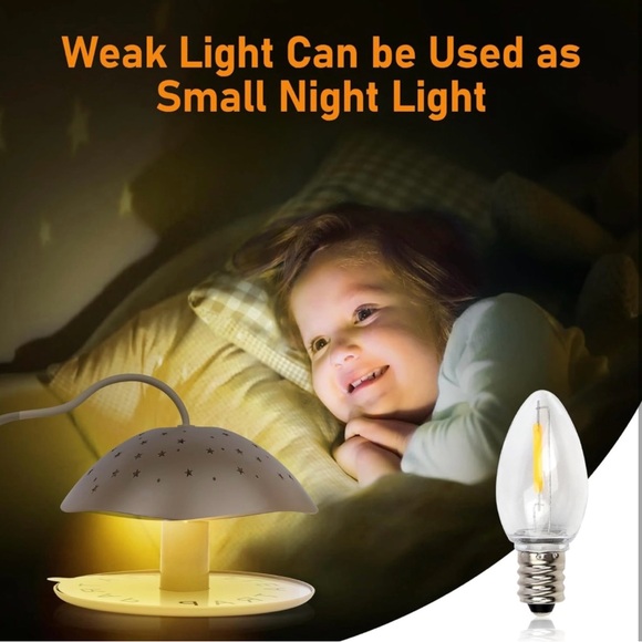 Flea Trap - Picture 7 of 7